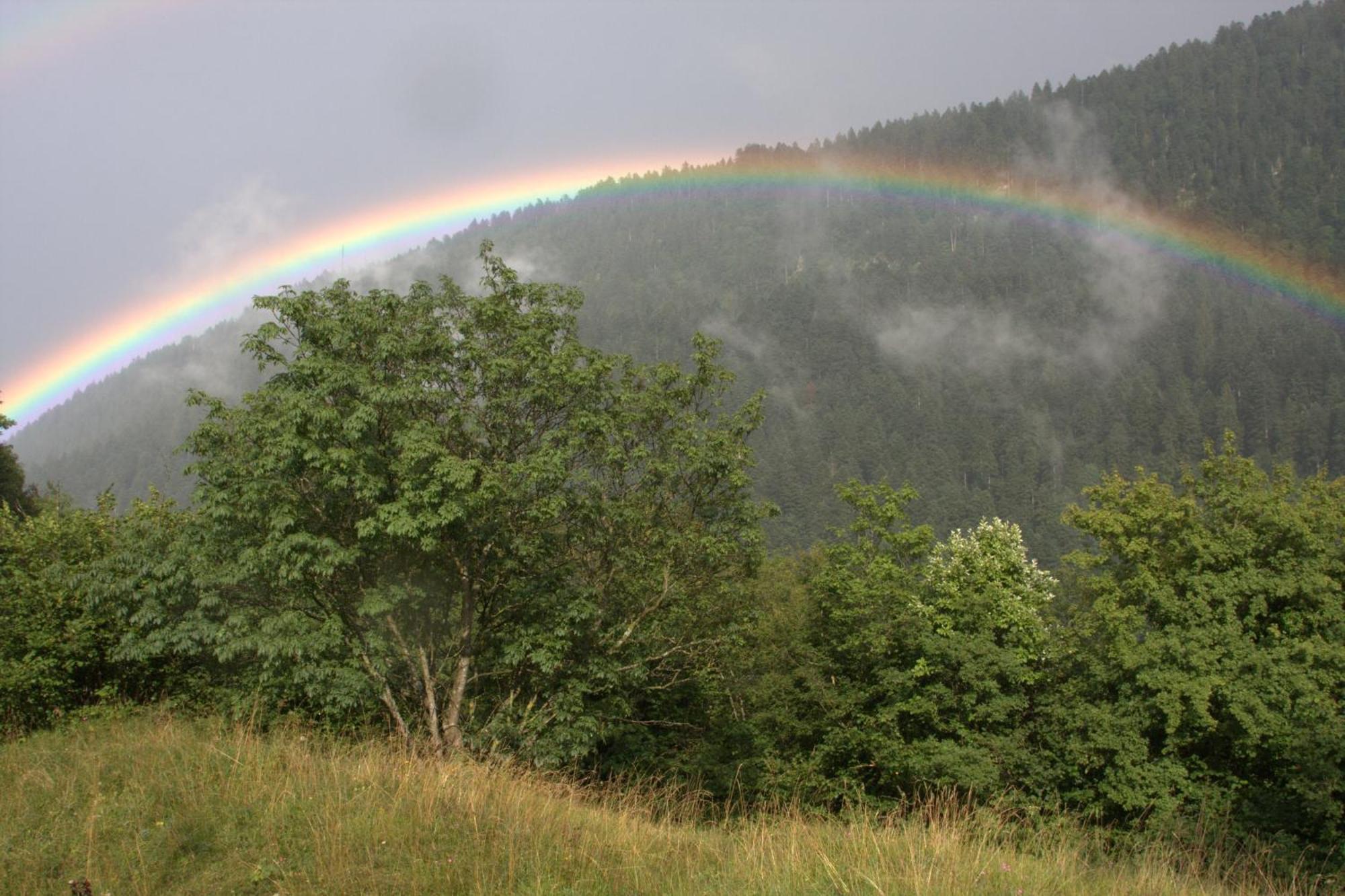 Agriturismo Ai Castioni โมลเวโน ภายนอก รูปภาพ