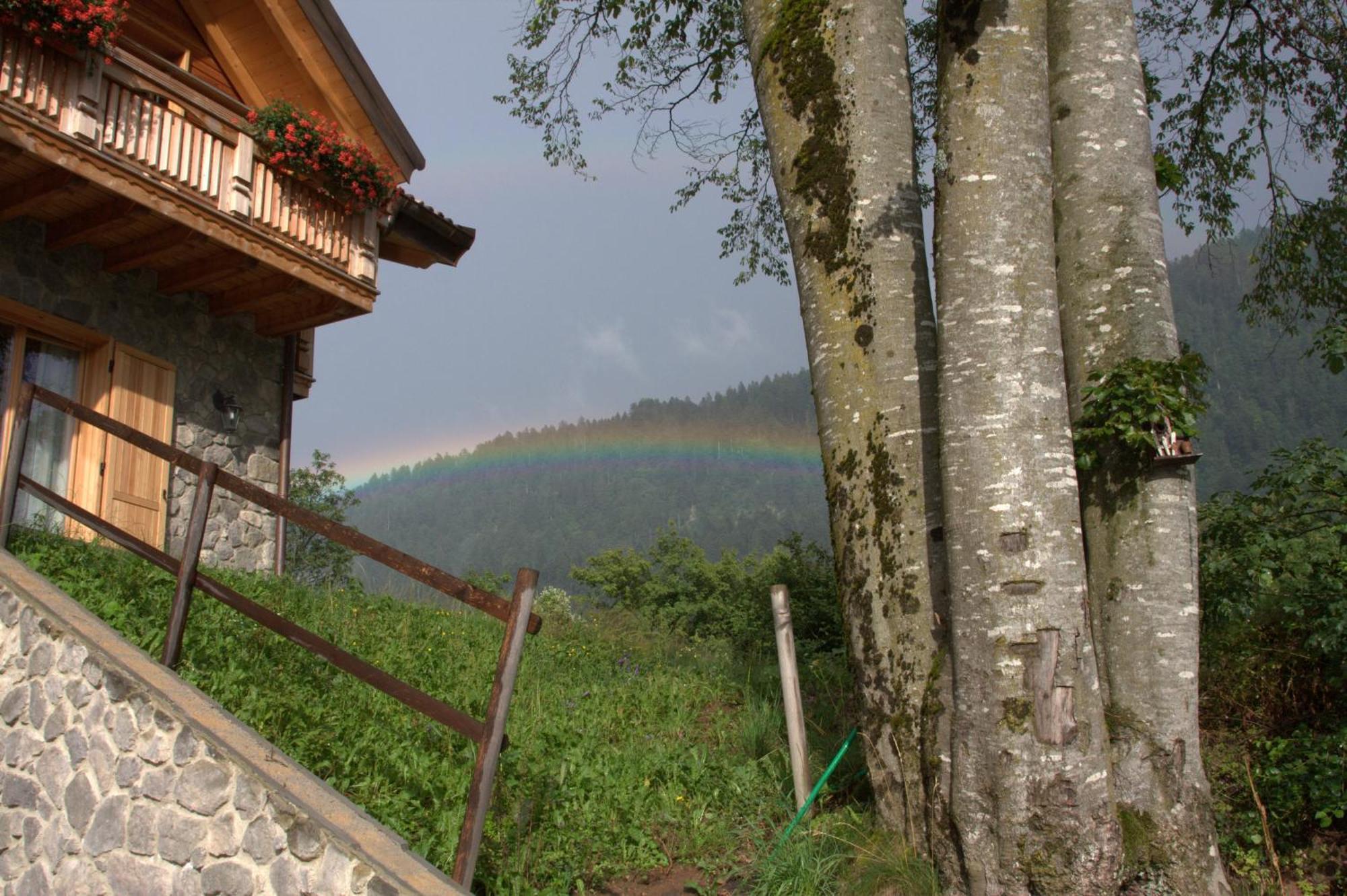 Agriturismo Ai Castioni โมลเวโน ภายนอก รูปภาพ